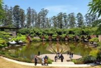 Dusun bambu