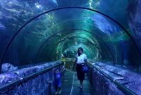 Jakarta aquarium