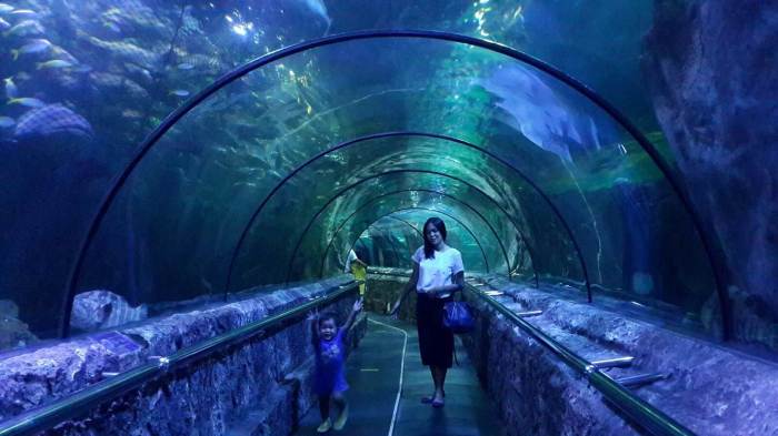 Jakarta aquarium