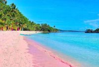 Pink beach