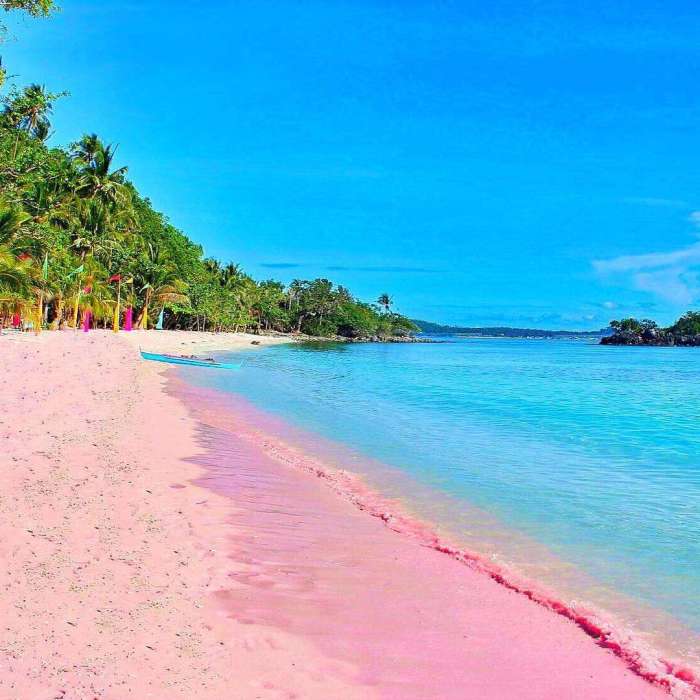 Pink beach