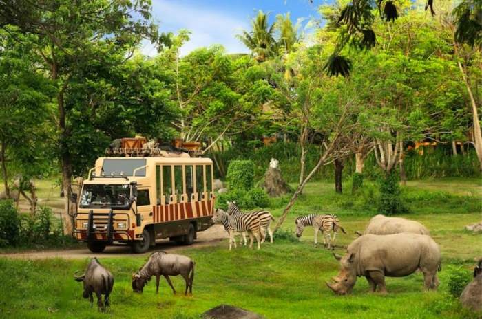 Safari bali park marine why itinerary reasons should credit