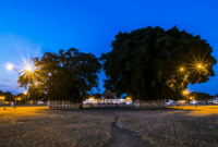 Alun alun kidul yogyakarta