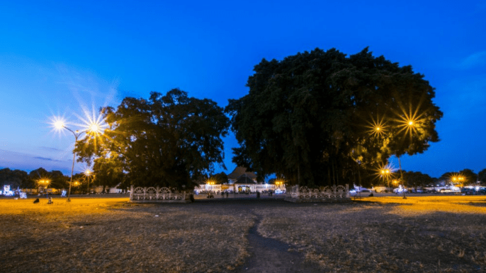 Alun alun kidul yogyakarta