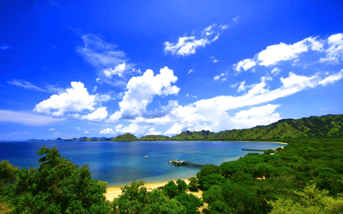 Pemandangan alam asli