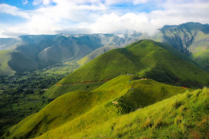 Pemandangan alam asli