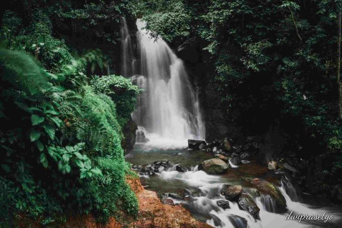 Curug cipamingkis