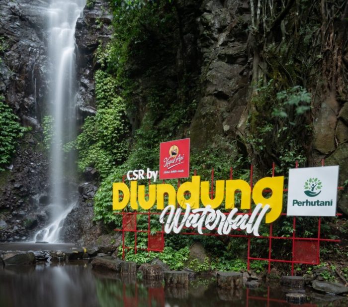 Air terjun dlundung