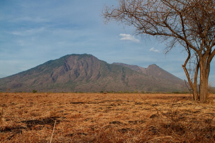 Baluran