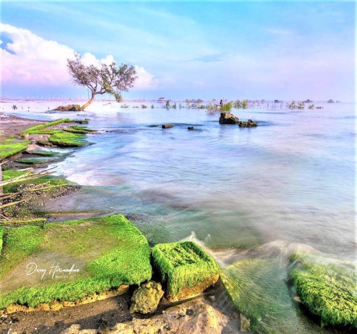 Pantai tanjung