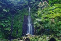 Curug nangka