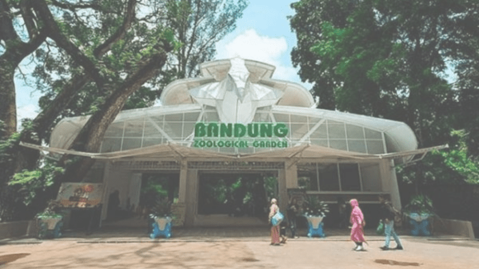 Bandung zoo