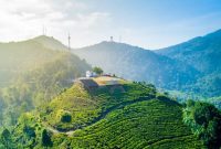 Gunung mas puncak bogor