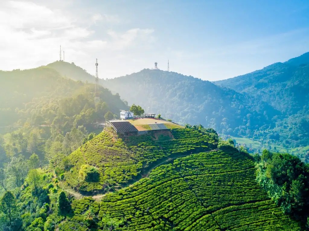 Gunung mas puncak bogor