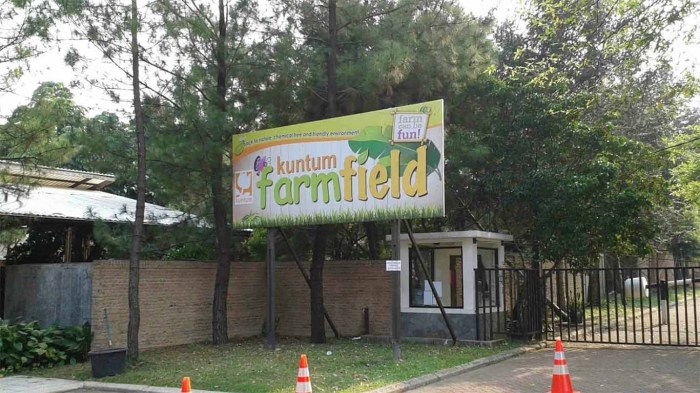 Kuntum farmfield