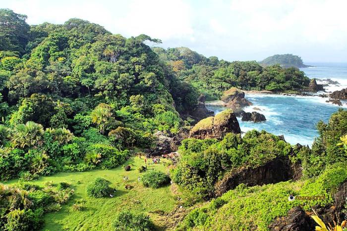 Taman nasional ujung kulon