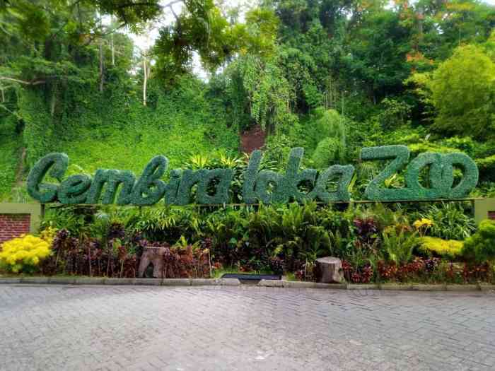 Gembira loka jogja pinguin binatang kebun