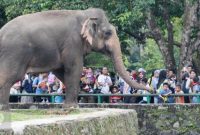 Kebun binatang ragunan