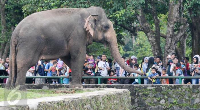 Kebun binatang ragunan