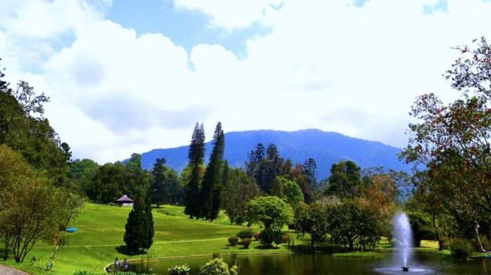 Kebun raya cibodas