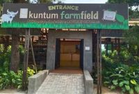 Kuntum farmfield