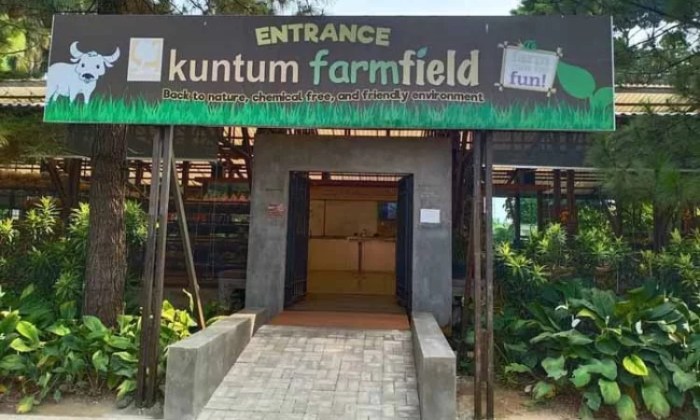 Kuntum farmfield