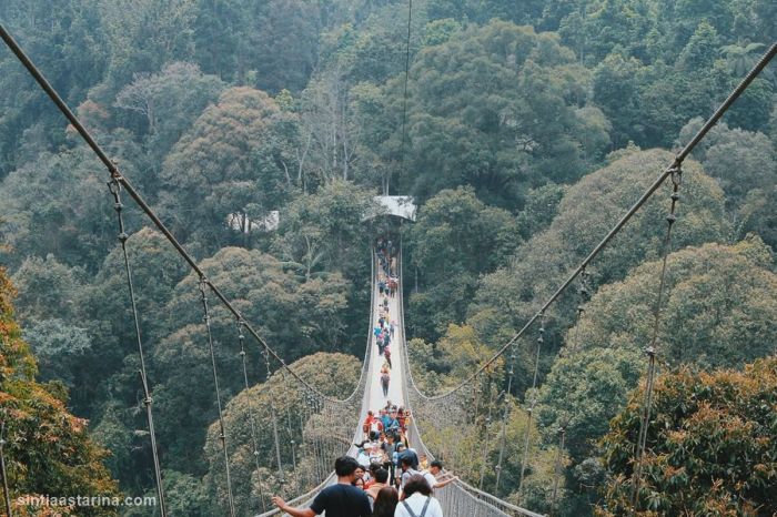 Situ gunung