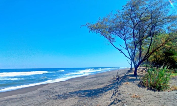 Pantai goa cemara