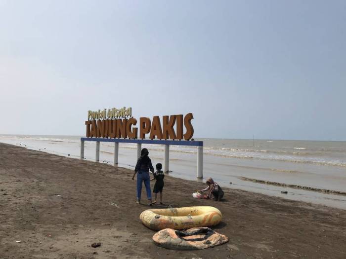 Pakis pantai tanjung