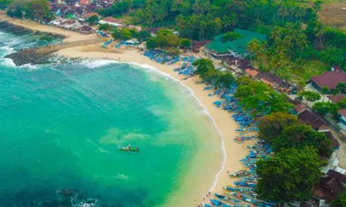 Buaya ranca pantai hasil