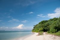 Ujung genteng pantai sukabumi dikawasan surga tersembunyi sunrise mengenal penyu idola wego