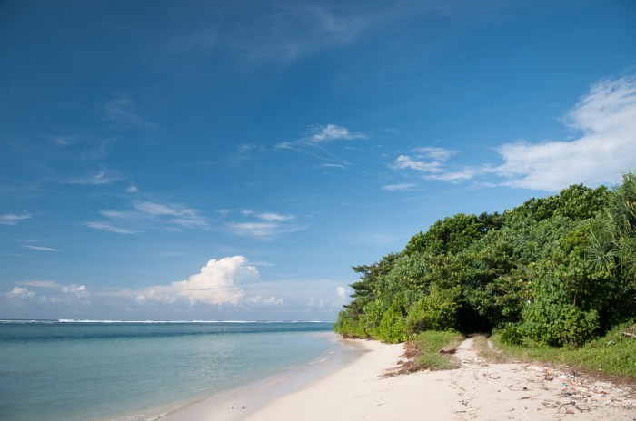 Ujung genteng pantai sukabumi dikawasan surga tersembunyi sunrise mengenal penyu idola wego