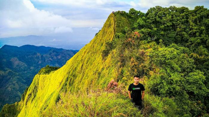 Gunung muria