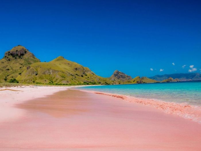 Pink beach lombok