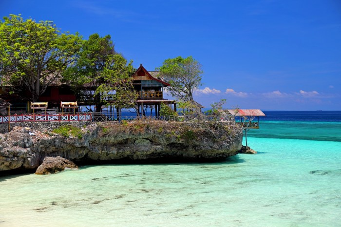 Tanjung bira