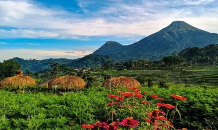 Jelajahi Pesona Wisata Pacet: Surga Alam dan Budaya di Kaki Gunung Lawu ...