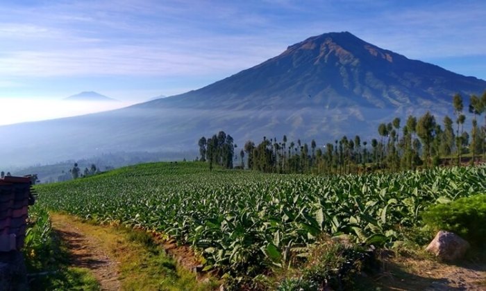 Temanggung wisata alam kabupaten populer provinsi terkenal letaknya