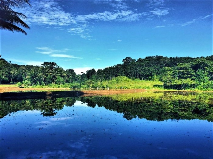 Ujung kulon