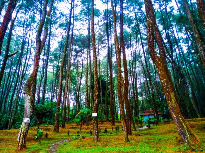 Curug cipeuteuy