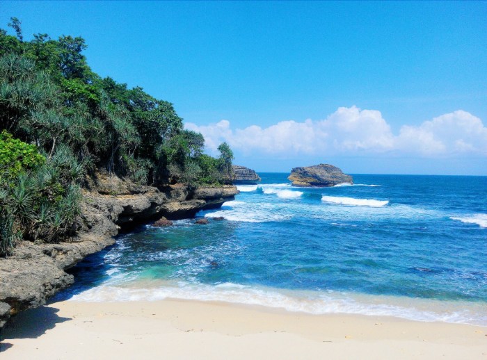 Pantai ngliyep