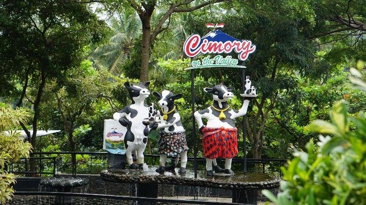 Cimory on the valley