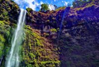 Coban rondo