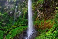 Curug cileat