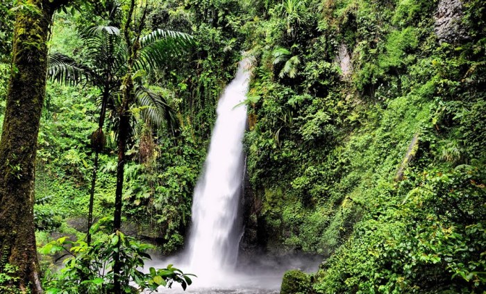 Curug sawer