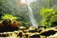 Curug cigentis