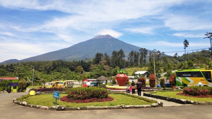 Asri lembah purbalingga dan lokasi tiket dengan kekinian