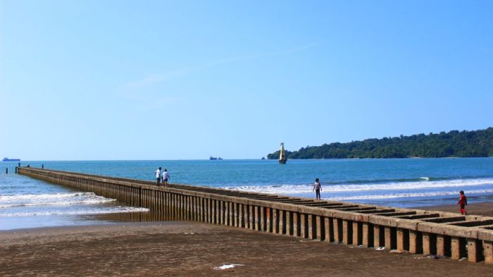 Teluk penyu cilacap tiket pesisir lokasi daya liburan tarik aktivitas