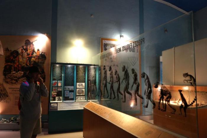 Museum sangiran