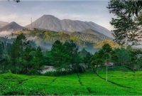 Gunung mas bogor