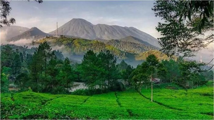 Gunung mas bogor